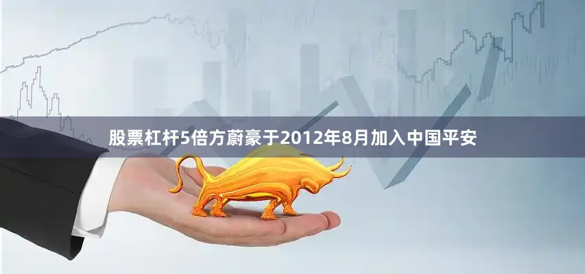股票杠杆5倍　　方蔚豪于2012年8月加入中国平安