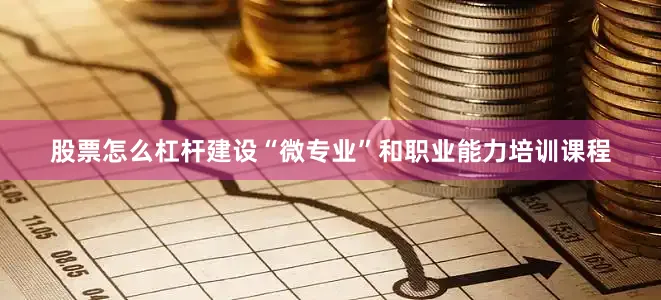 股票怎么杠杆建设“微专业”和职业能力培训课程