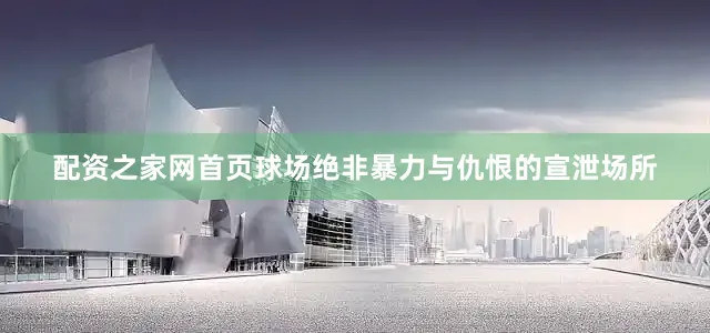 配资之家网首页球场绝非暴力与仇恨的宣泄场所
