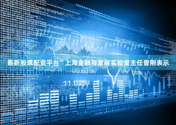 最新股票配资平台”上海金融与发展实验室主任曾刚表示